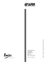 Preview for 6 page of EnerSys Fiamm Motive Power Premium ES Series Instructions For Use Manual