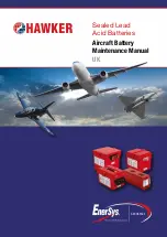 EnerSys HAWKER 9250-0083 Maintenance Manual предпросмотр