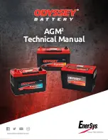 EnerSys NSB-AGM Technical Manual preview