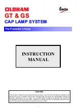 EnerSys OLDHAM GS Instruction Manual предпросмотр