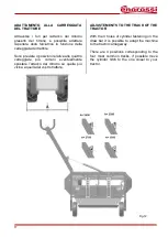 Preview for 17 page of enorossi DMC TREX 250 Use And Maintenance Manual