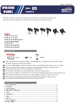 ENSIM SENSORS EFS Operating Manual предпросмотр