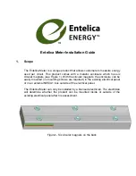 Entelica Energy Entelica Meter Installation Manual предпросмотр