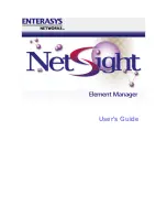 Enterasys Netsight User Manual предпросмотр