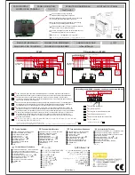 Preview for 2 page of Entes RGA Series Quick Start Manual