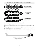 Предварительный просмотр 15 страницы Enviro Bistro 3500 Owner'S And Operator'S Manual