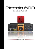 Epifani Piccolo 600 Manual предпросмотр