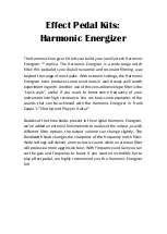 Предварительный просмотр 2 страницы EPK Harmonic Energizer Building Manual