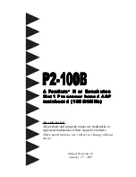 EPOX P2-100B Manual предпросмотр