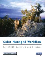 Epson 00000650 - Perfection 3200 PRO Color Scanner Software Manual preview