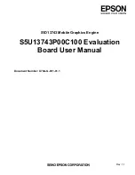 Epson 5U13743P00C100 User Manual preview