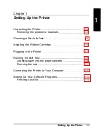 Preview for 13 page of Epson ActionPrinter 2250 User Manual