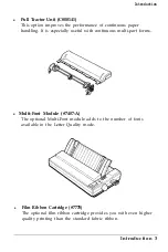 Предварительный просмотр 19 страницы Epson ActionPrinter 4500 User Manual