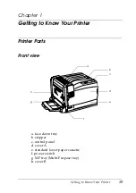 Preview for 19 page of Epson AcuLaser C9100 Reference Manual