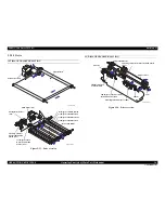 Preview for 56 page of Epson Aculaser C9200N Service Manual