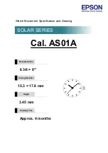 Epson As01A solar series Manual preview