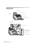 Предварительный просмотр 45 страницы Epson C11C486001 - Stylus C82 Color Inkjet Printer Printer Basics Manual