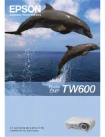 Epson dreamio EMP-TW600 Brochure & Specs предпросмотр