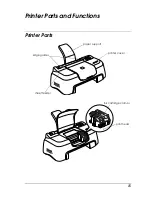 Preview for 19 page of Epson ESC480 Setup Manual