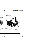 Preview for 8 page of Epson ML 3320 Owner'S Manual