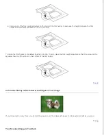 Preview for 145 page of Epson Perfection V700 Series User Manual