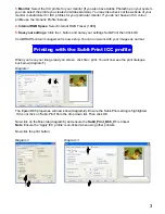 Preview for 5 page of Epson Stylus D88 Instruction Manual