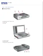 Предварительный просмотр 19 страницы Epson WorkForce GT-1500 User Manual