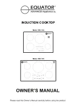 Equator BIC 304 Owner'S Manual preview