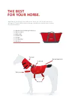 Предварительный просмотр 2 страницы EQUUSIR BIOS System Instructions For Use Manual