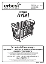 erbesi Ariel Manual предпросмотр