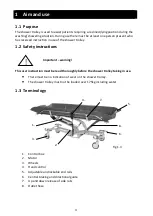 Предварительный просмотр 4 страницы ergolet Lambda/175 User Instruction