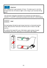 Preview for 25 page of ErgoPack 700X Original Operating Instructions