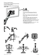 Предварительный просмотр 5 страницы Ergotron LX Desk Mount LCD Arm Manual