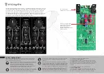 Предварительный просмотр 2 страницы Erica Synths Black 3109 VCF/VCA Quick Start Manual