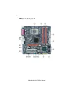 Предварительный просмотр 10 страницы ESC G33T-M2 User Manual