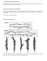 Предварительный просмотр 11 страницы Escea DX-Series User Manual