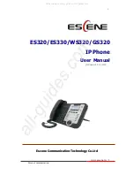 ESENE DS3X2 User Manual preview