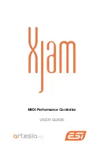 ESI Artesia Pro XJam User Manual предпросмотр