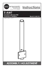 ESI E-AMT Instructions предпросмотр