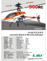 Preview for 1 page of esky 900 RC Series Instruction Manual