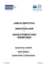 Esse-ti INDUCTION LOOP User Manual preview