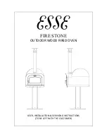 Preview for 1 page of Esse FIRE STONE User, Installation & Servicing Instructions