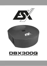 Preview for 1 page of ESX DBX300Q Manual