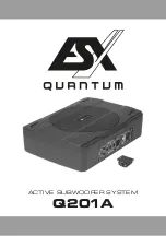 ESX QUANTUM Q201A User Manual preview