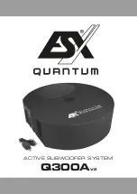 ESX QUANTUM Q300A Manual preview