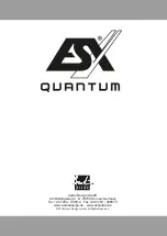 Preview for 16 page of ESX QUANTUM Q300A Manual