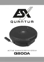 ESX Quantum Q800A User Manual preview