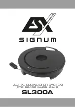 ESX SIGNUM SL300A Manual preview