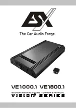 ESX VE 1000.1 Owner'S Manual предпросмотр