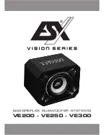 ESX VE200 Manual preview